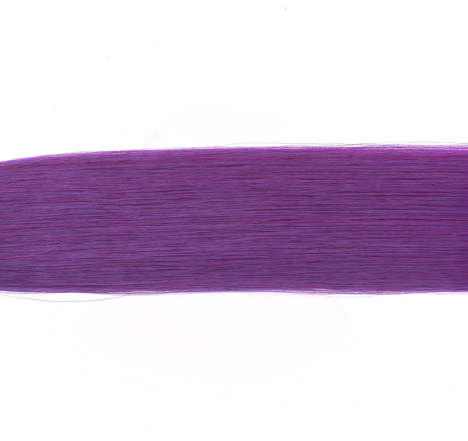 ビビッドカラー#purple